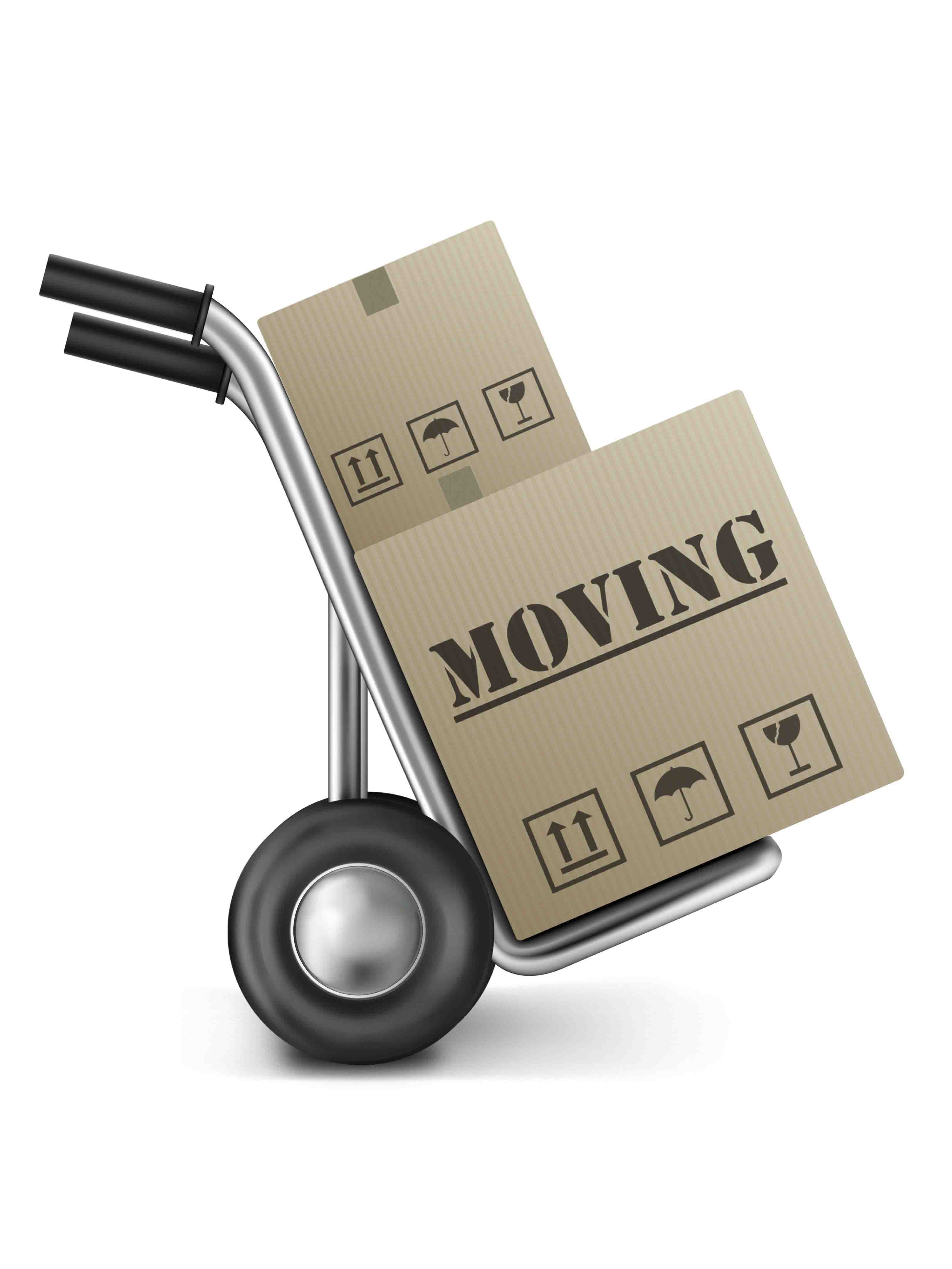 Thumbnail Placeholder